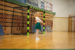 DSC00085