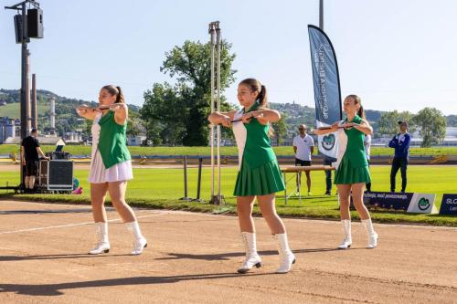 Nastop za NEK, foto: Branko Benčin